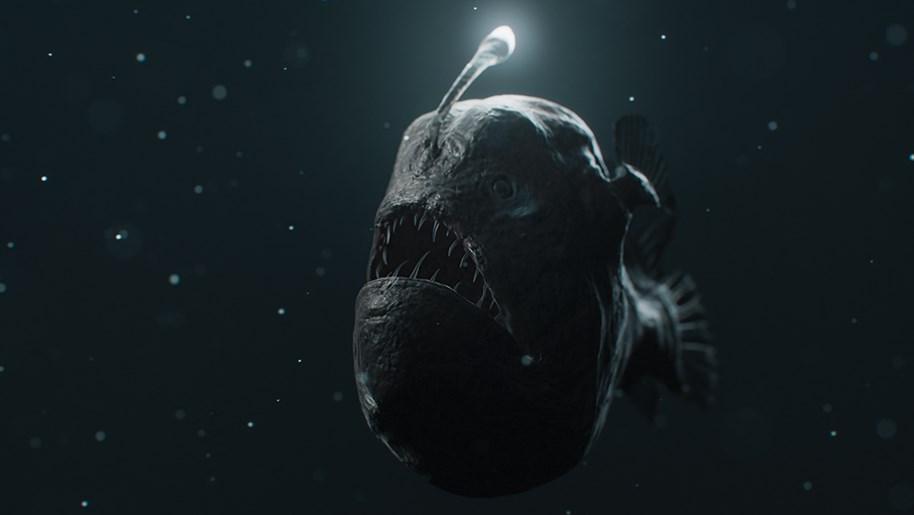 news detail banner